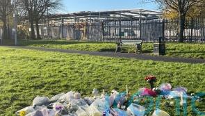 Twelve-year-old boy accused of playing fields murder admits possessing machete