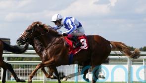 Devil’s Point takes Djebel test on seasonal bow