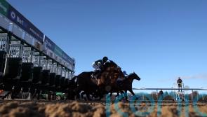 Dixon unlikely to forget chaotic events at Wolverhampton in a hurry