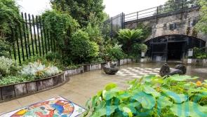 Tayshan Hayden-Smith on how inner city community gardening can help mental health