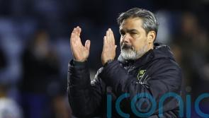 Norwich ‘not ruthless’ enough in Sheffield Wednesday draw – David Wagner