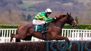 Corbetts Cross bidding to complete Cheltenham-Aintree double