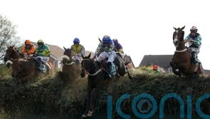 Reveley relishing reunion with Grand National hopeful Roi Mage