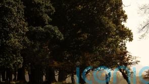 Living near green spaces ‘linked with fewer emotional issues in preschoolers’