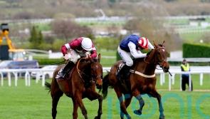 Pauling believes Jukebox will be on song in Sefton