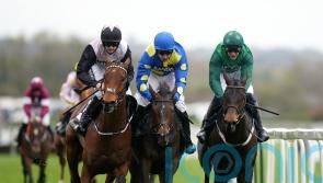 Impaire Et Passe pips Bob Olinger and survives inquiry