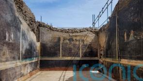 Archaeologists excavating new sites in Pompeii uncover sumptuous banquet hall