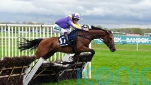 Gwennie May Boy continues Skelton march at Aintree