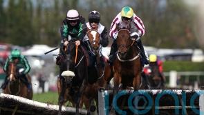 Strong Leader lifts Liverpool Hurdle honours