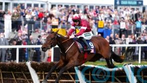 Chasing could be an option next year for Brighterdaysahead