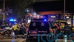 Sydney attacker advertised himself as male escort and tried to join gun groups
