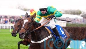 Jonbon set for Sandown defence or Punchestown