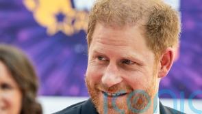 Harry loses initial bid to challenge decision in change to security legal case