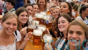 Bavaria bans smoking cannabis at public festivals, Oktoberfest and beer gardens