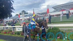 Astro King bidding to reign supreme in Earl Of Sefton
