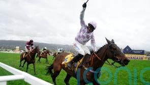 Golden Ace steps up for Cheltenham Listed assignment