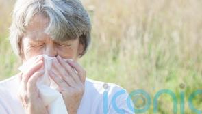 Do I have a cold or hay fever? An expert explains how to tell the difference