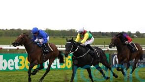 Endless Victory puts himself in line for Classic trial test