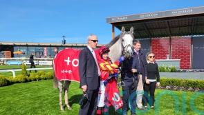 White Birch enjoys ‘lovely’ comeback win at the Curragh