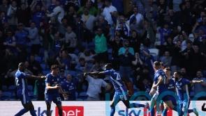 Famara Diedhiou and Cian Ashford goals seal Cardiff comeback against Southampton