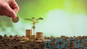 Simple money-saving and sustainable hacks for gardeners