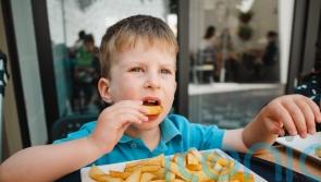 My child has a nut allergy – now what?