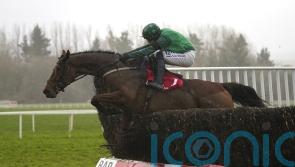 El Fabiolo and Gaelic Warrior among Mullins Sandown entries