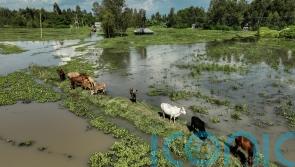 Burundi hard-hit as flooding causes havoc across East Africa