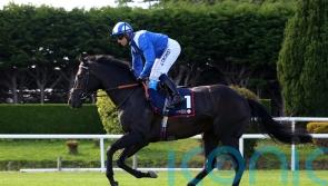 Burrows pencils in early summer return for Alflaila