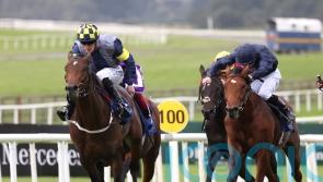 O’Brien Epsom raider has Rock-solid form credentials