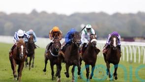 Deira Mile enhances Derby prospects with Windsor win