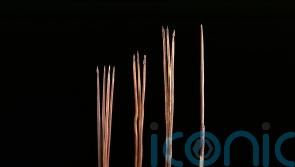 Four Aboriginal spears repatriated to Australia after more than 250 years