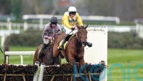 Apple Away takes on strong Irish challenge at Perth