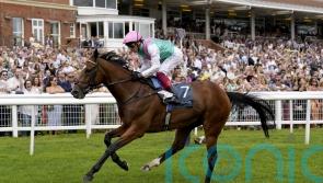Chester and York options under consideration for Arrest