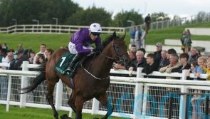 Bucanero Fuerte set to skip Guineas with Ascot sprint preferred