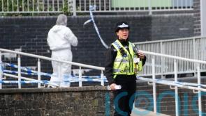 How common is pupil violence in schools?