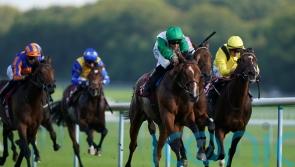 Al Musmak aiming to outrun Guineas odds