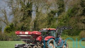 Wheat, barley and oat production declined by a fifth in 2023 – CSO