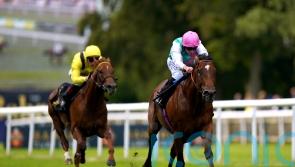‘Talented’ Nostrum makes Mile return at Sandown