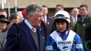 Nicholls understands reasoning behind Frost&rsquo;s French move