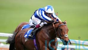 Next stop the Derby for Trial winner Bellum Justum