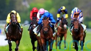 Arabian Crown comes through Classic Trial with flying colours