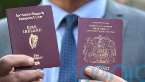 Bill to make it easier for Irish people to get British citizenship progresses