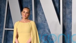 Sharon Stone on humanitarianism: You don’t save lives winning a Golden Globe
