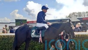 Camille Pissarro makes favourable impression on debut