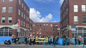 ‘Ignorant’ use of language by Helen McEntee is ‘recycling far-right rhetoric’