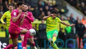 Play-off destiny still in Norwich&rsquo;s hands despite draw with Swansea