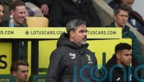 David Wagner admits Norwich were &lsquo;not clinical enough&rsquo; in draw with Swansea