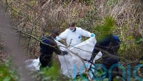 More crimes scenes opened after ‘further breakthroughs’ in torso murder probe