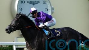 King Of Steel looks set for Sandown seasonal debut